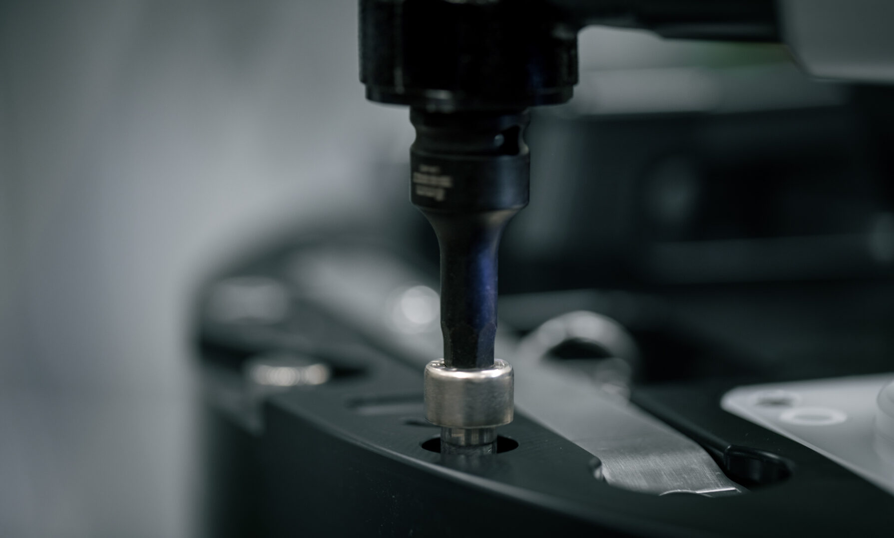 Kind Stingray T3a7672