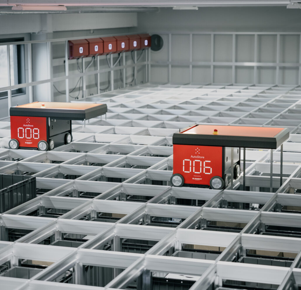 Kind Stingray T3a8138