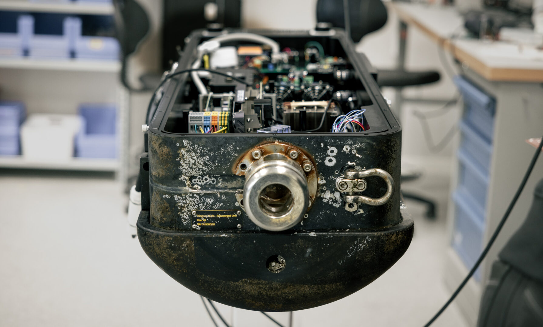 Kind Stingray T3a9525