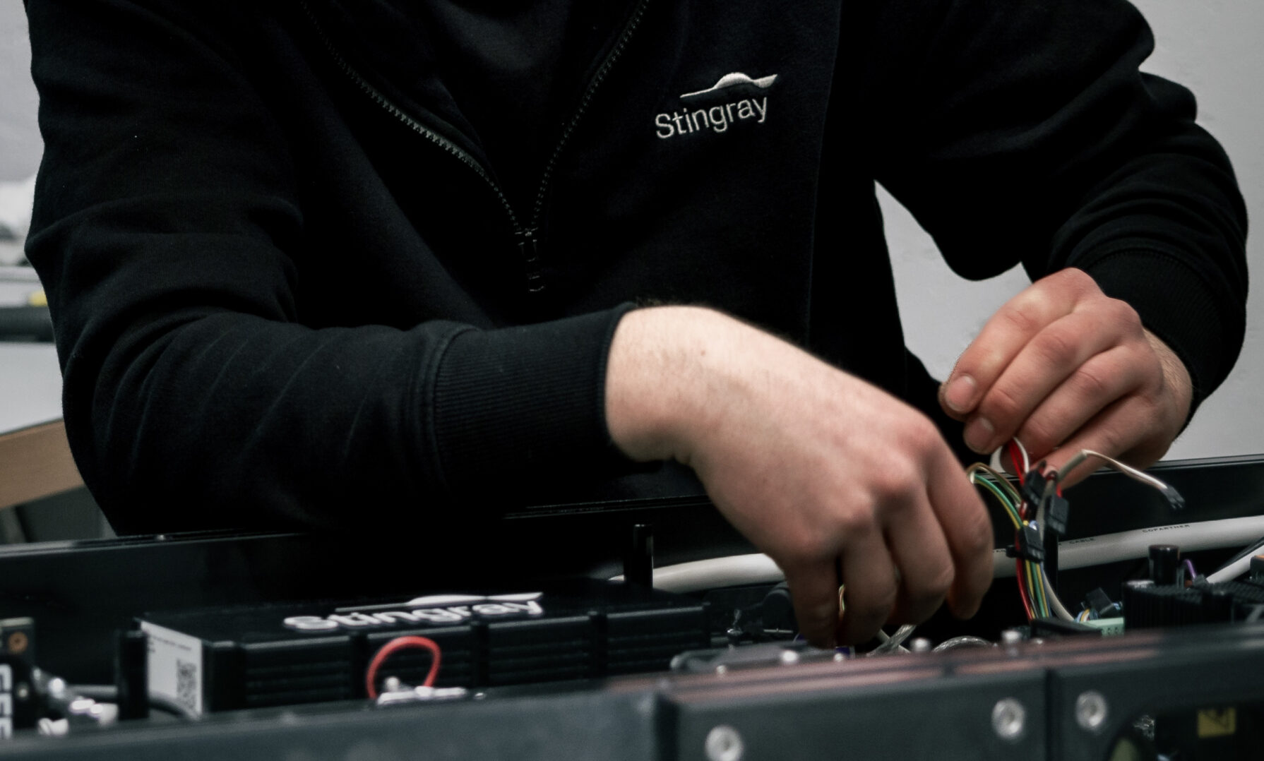 Kind Stingray T3a9573