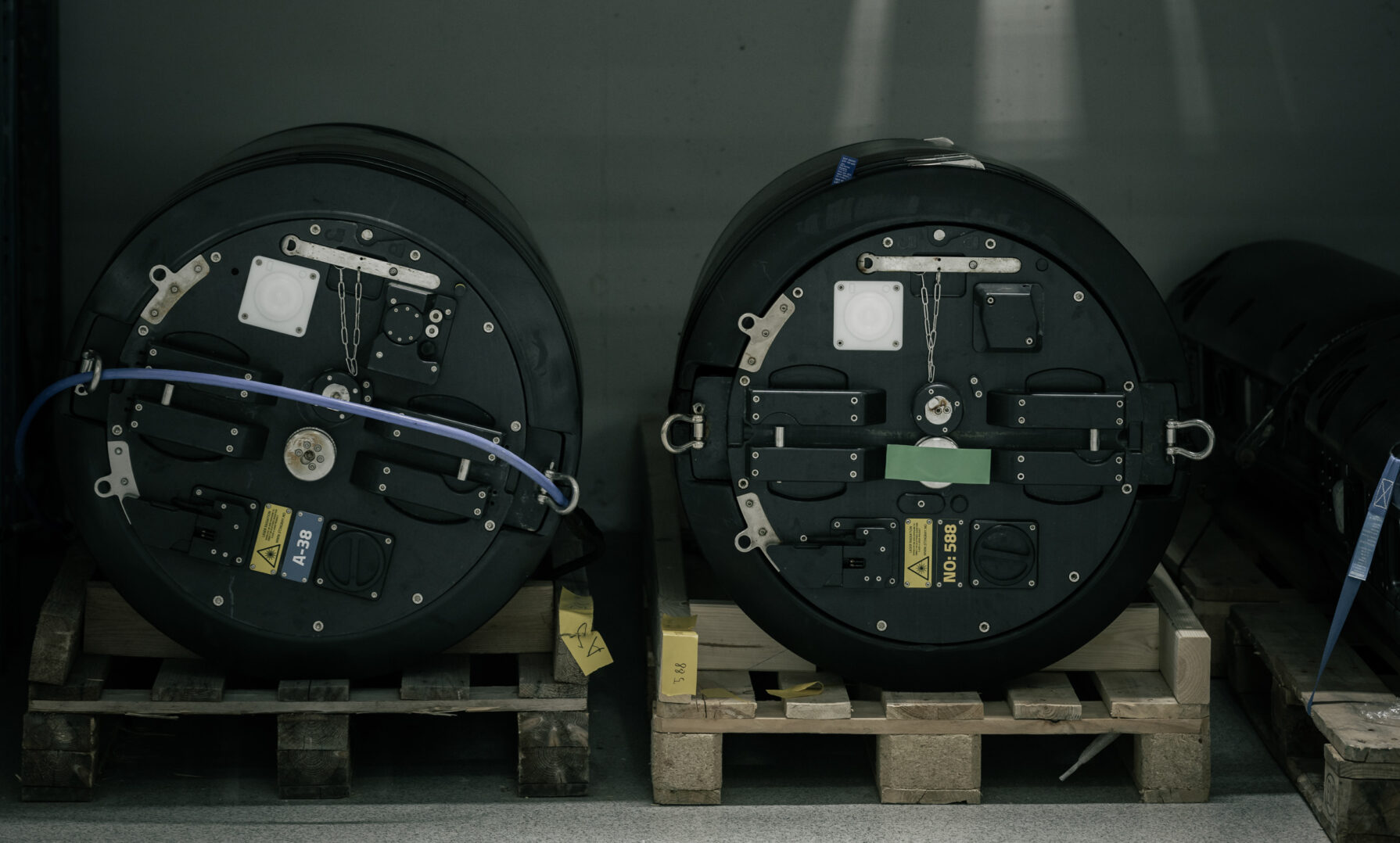 Kind Stingray T3a9622