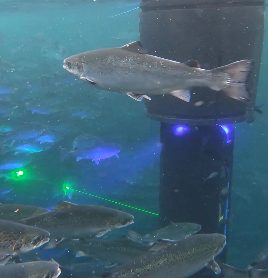 Node Shot 01 960x1080px