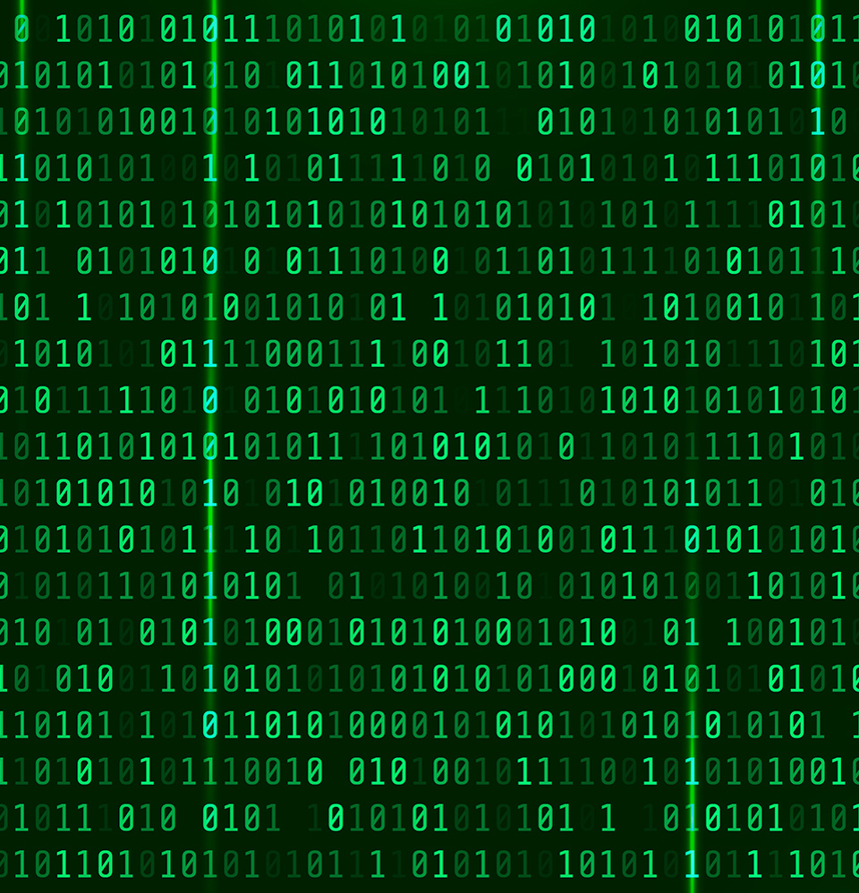 Shutterstock 1132049900 960x1080px